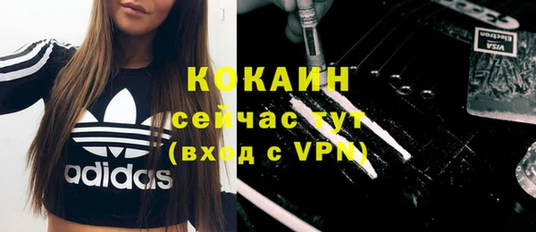 индика Дмитриев