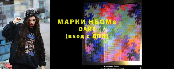 индика Дмитриев