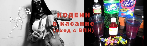 индика Дмитриев