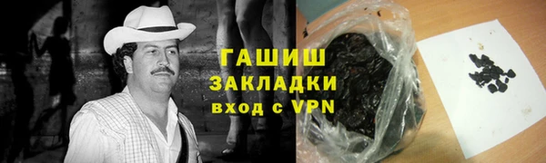 индика Дмитриев