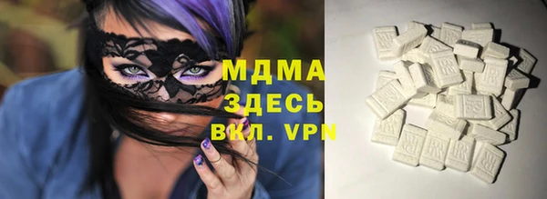 индика Дмитриев