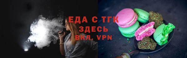 индика Дмитриев
