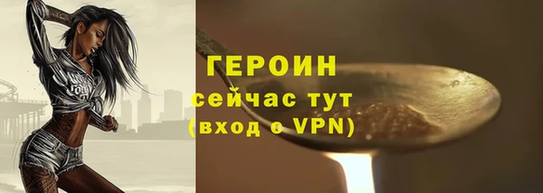 индика Дмитриев