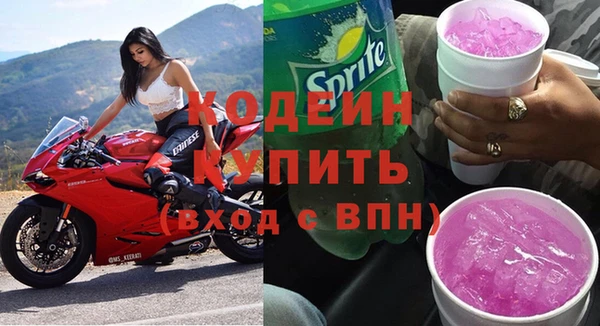 индика Дмитриев