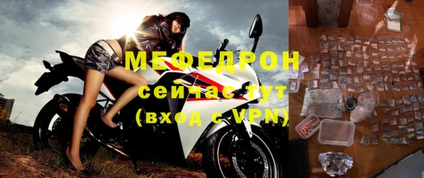 индика Дмитриев