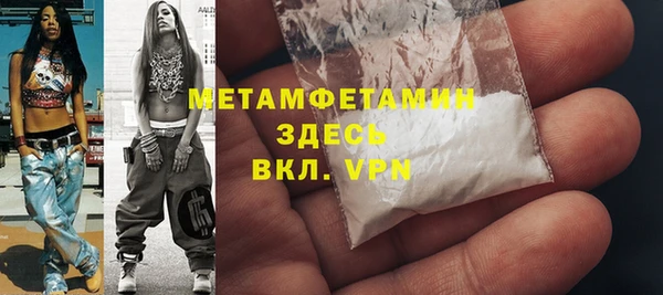 индика Дмитриев