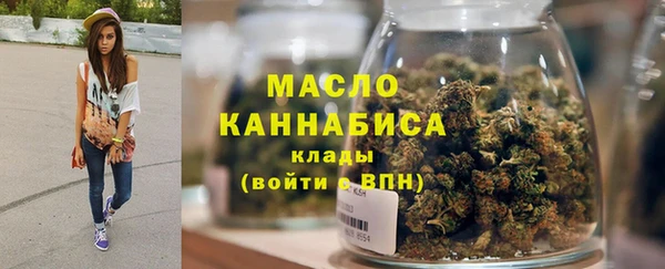 индика Дмитриев