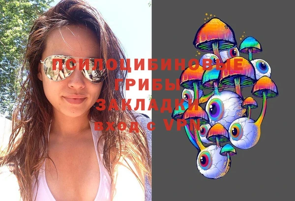 индика Дмитриев