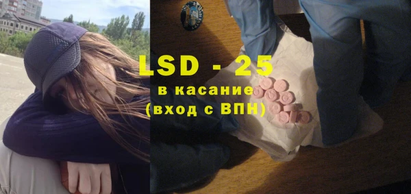 индика Дмитриев