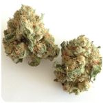 Шишки "White Widow"  (Белая вдова)  Гидропоника -  Бошка VHQ в Дудинке